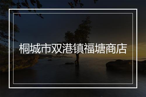 桐城市双港镇福塘商店