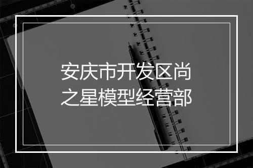安庆市开发区尚之星模型经营部