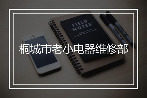 桐城市老小电器维修部