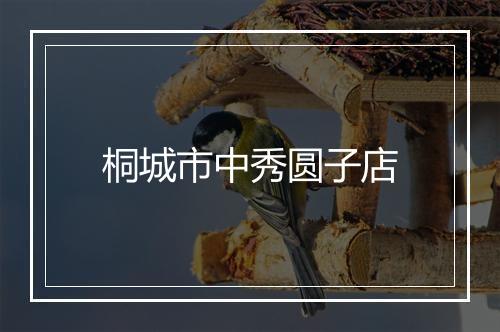 桐城市中秀圆子店