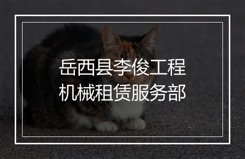 岳西县李俊工程机械租赁服务部