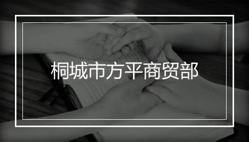 桐城市方平商贸部