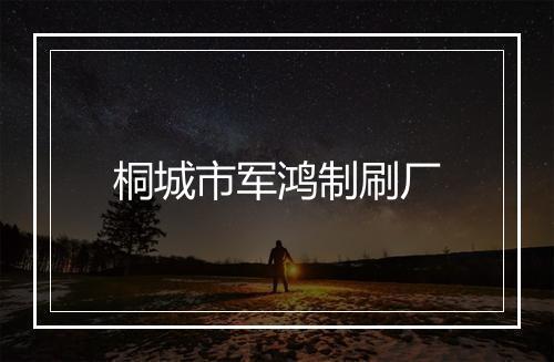 桐城市军鸿制刷厂