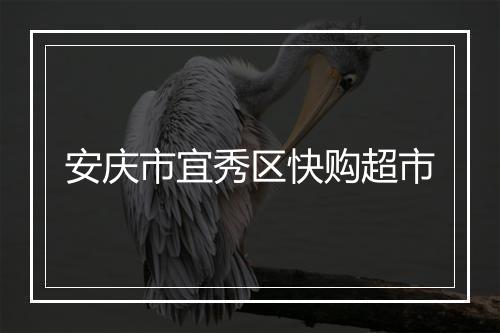 安庆市宜秀区快购超市