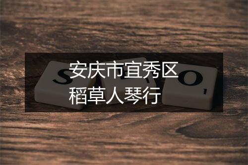 安庆市宜秀区稻草人琴行
