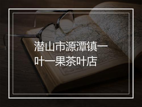 潜山市源潭镇一叶一果茶叶店