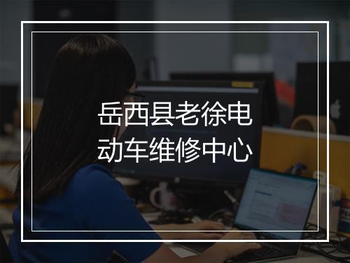 岳西县老徐电动车维修中心