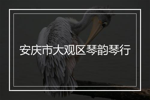安庆市大观区琴韵琴行