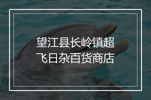望江县长岭镇超飞日杂百货商店
