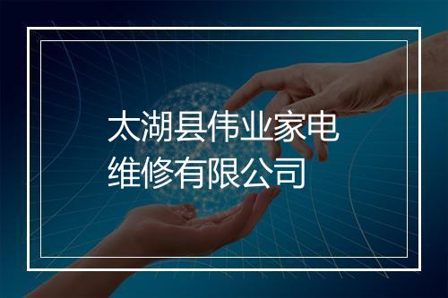 太湖县伟业家电维修有限公司