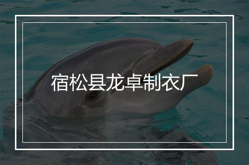 宿松县龙卓制衣厂