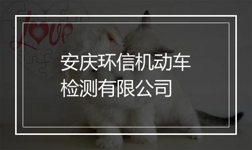 安庆环信机动车检测有限公司
