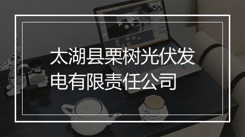 太湖县栗树光伏发电有限责任公司