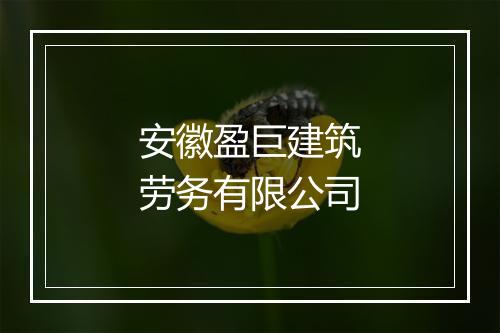 安徽盈巨建筑劳务有限公司