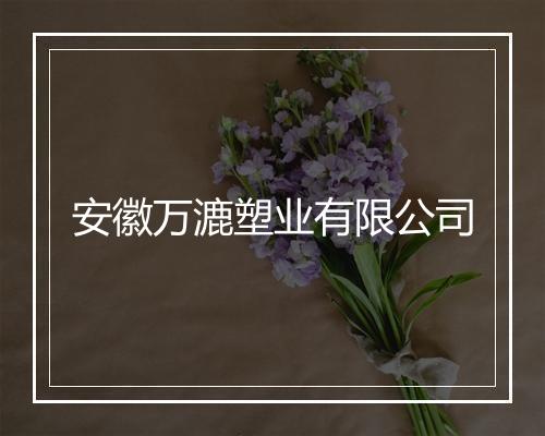 安徽万漉塑业有限公司
