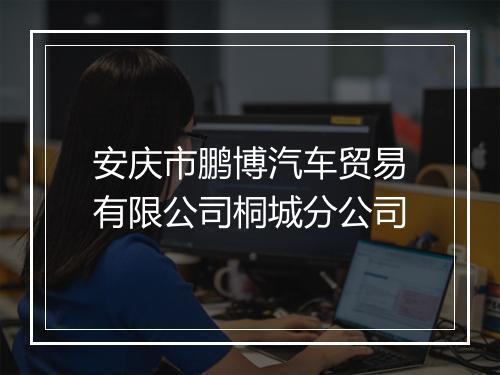 安庆市鹏博汽车贸易有限公司桐城分公司