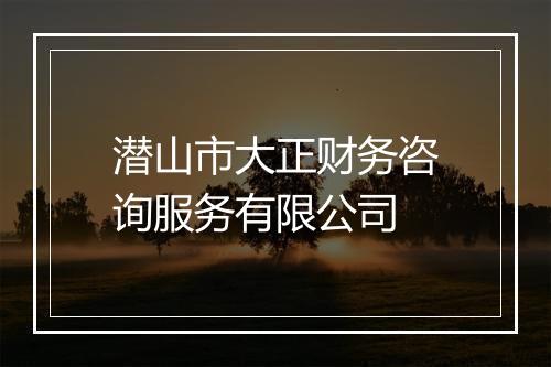 潜山市大正财务咨询服务有限公司