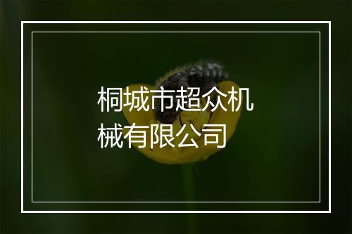 桐城市超众机械有限公司