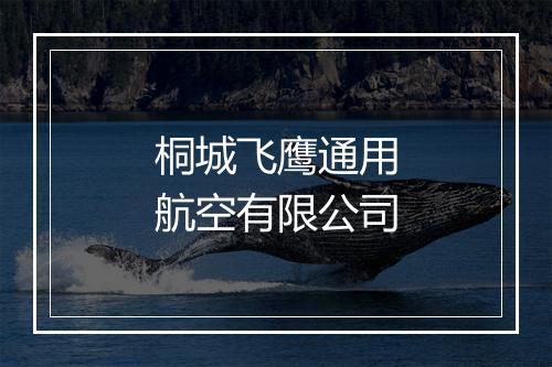 桐城飞鹰通用航空有限公司