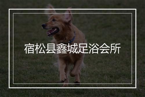 宿松县鑫城足浴会所