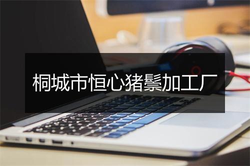 桐城市恒心猪鬃加工厂