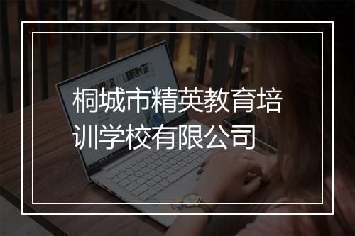 桐城市精英教育培训学校有限公司