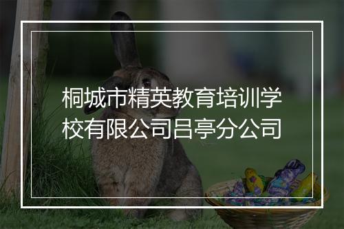 桐城市精英教育培训学校有限公司吕亭分公司