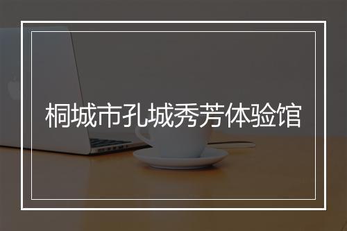 桐城市孔城秀芳体验馆