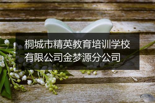 桐城市精英教育培训学校有限公司金梦源分公司