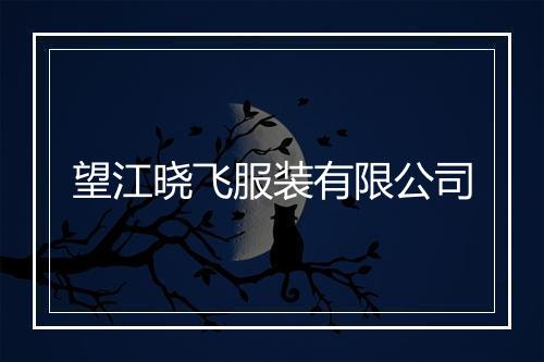 望江晓飞服装有限公司