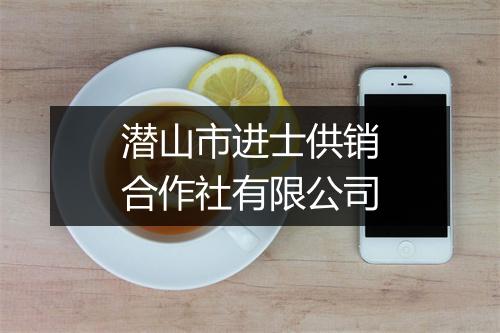潜山市进士供销合作社有限公司