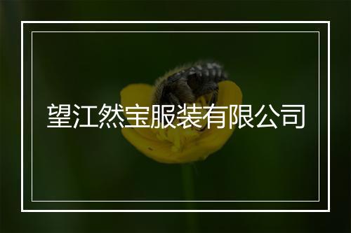 望江然宝服装有限公司