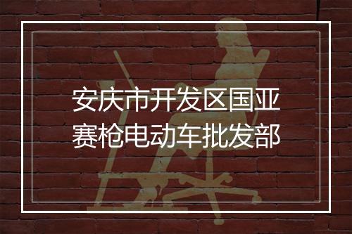 安庆市开发区国亚赛枪电动车批发部
