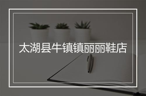 太湖县牛镇镇丽丽鞋店