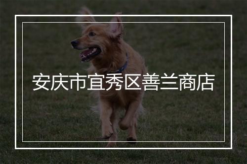 安庆市宜秀区善兰商店