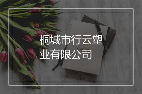 桐城市行云塑业有限公司
