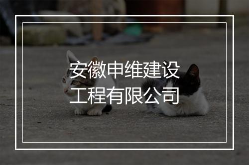 安徽申维建设工程有限公司