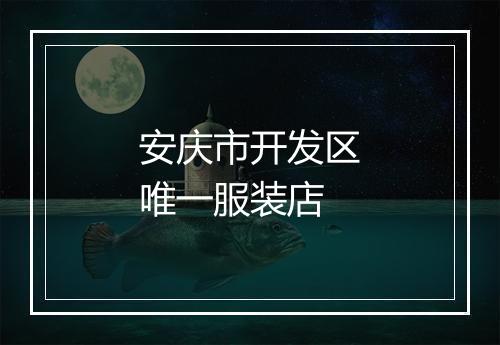 安庆市开发区唯一服装店