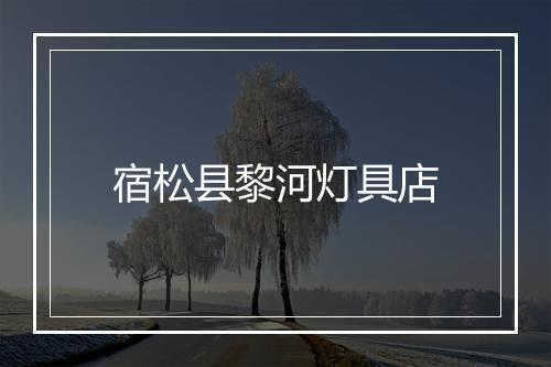 宿松县黎河灯具店