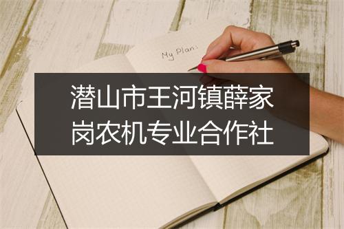 潜山市王河镇薛家岗农机专业合作社