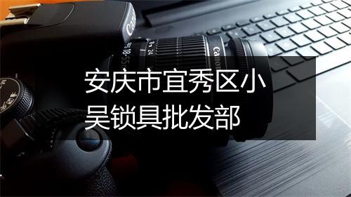 安庆市宜秀区小吴锁具批发部