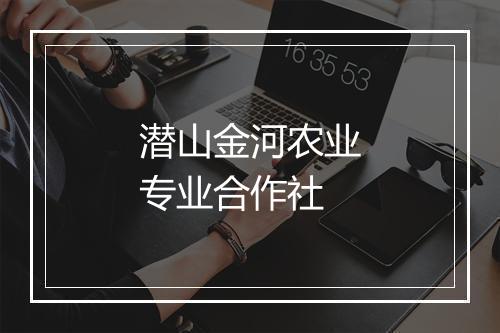 潜山金河农业专业合作社