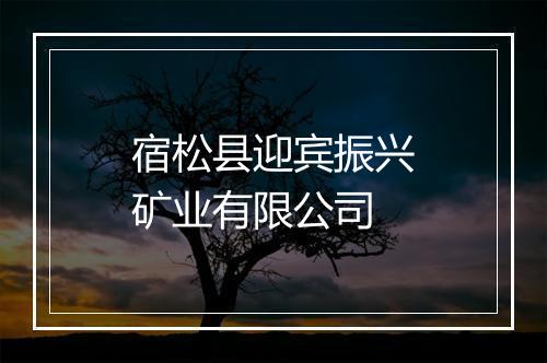 宿松县迎宾振兴矿业有限公司