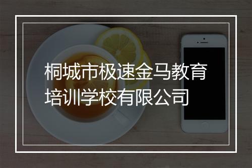 桐城市极速金马教育培训学校有限公司