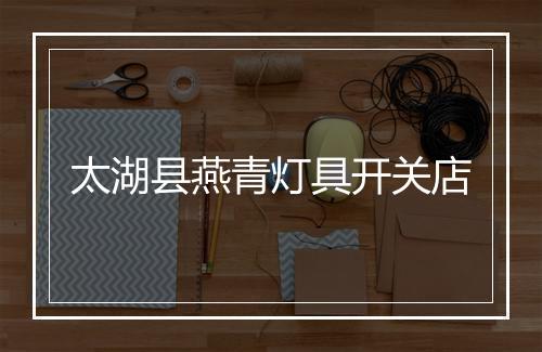 太湖县燕青灯具开关店