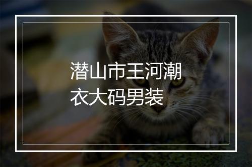 潜山市王河潮衣大码男装