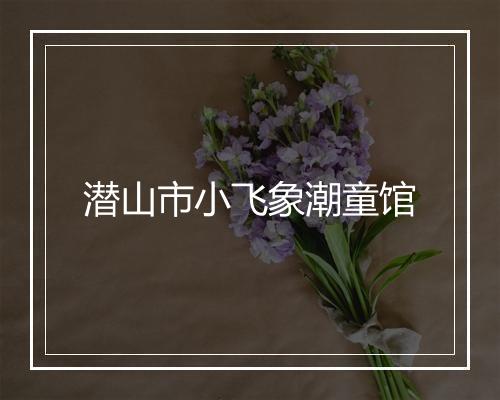 潜山市小飞象潮童馆