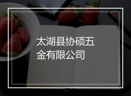 太湖县协硕五金有限公司