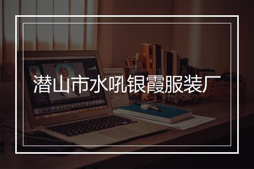 潜山市水吼银霞服装厂