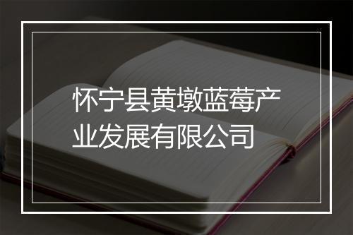 怀宁县黄墩蓝莓产业发展有限公司